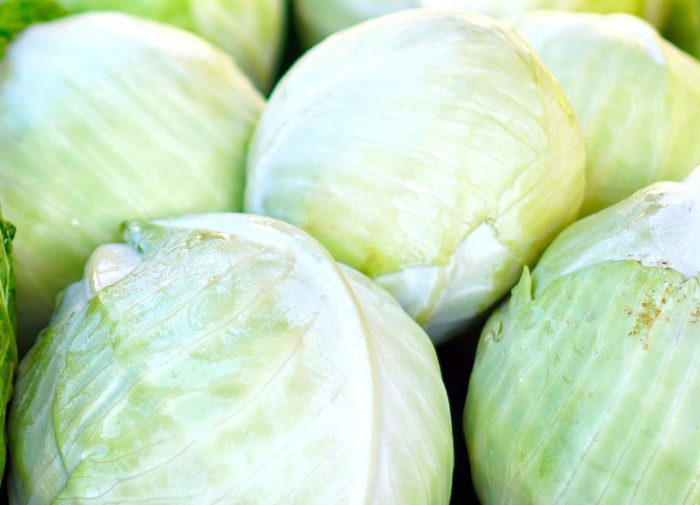 Tania kapusta także na Ukrainie