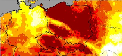 Susza. IUNG: znaczące deficyty wody w glebie