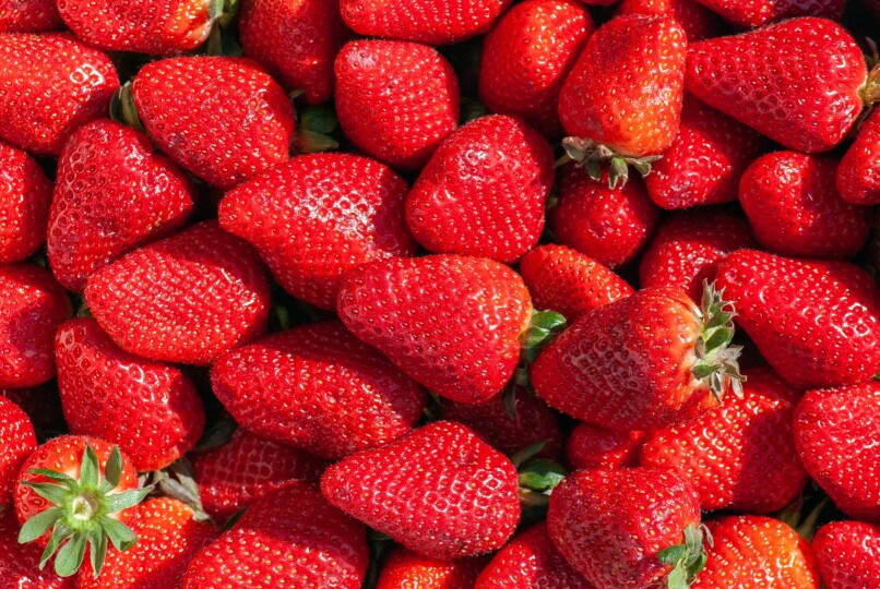 Krach na truskawkach: w tydzień z 22 do 8 zł/kg. Import się wycofuje
