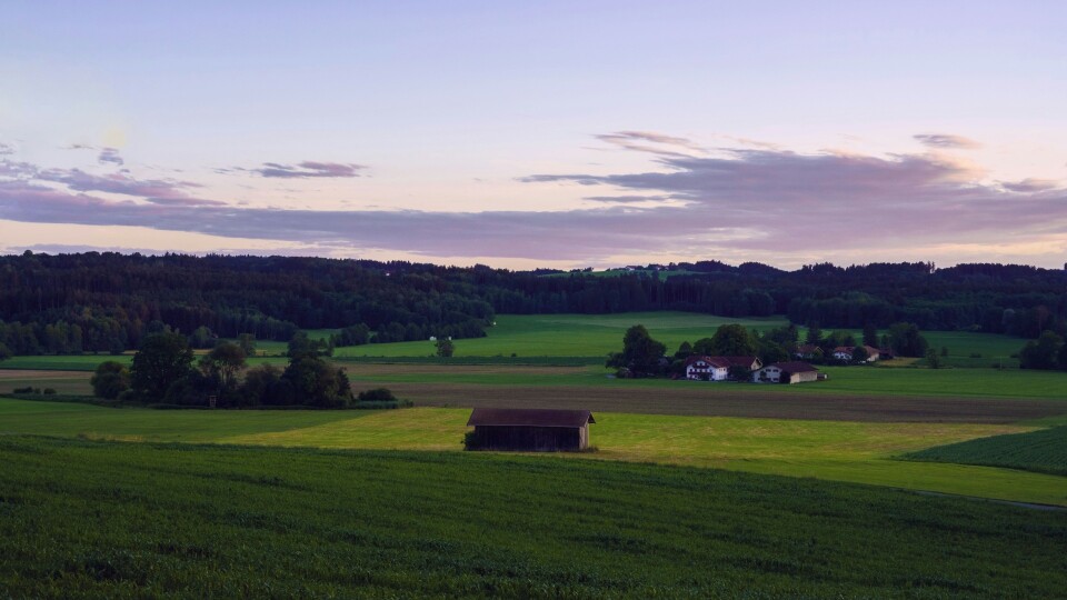 Jeden wniosek zamiast ekoschematów. Małe gospodarstwa dostaną do 4,8 tys. zł