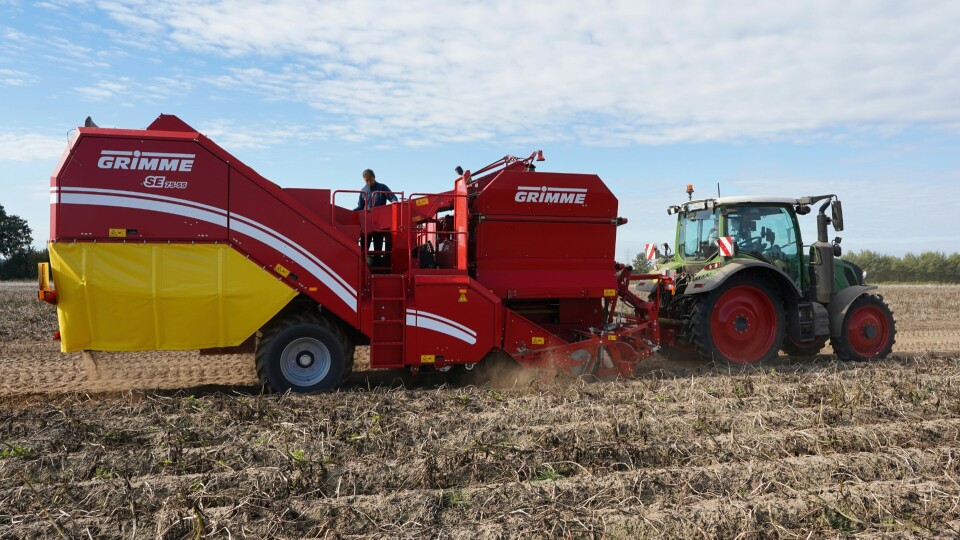 Rolnicy zwijają ziemniaki. W rok z pól zniknęło 25 tys. hektarów