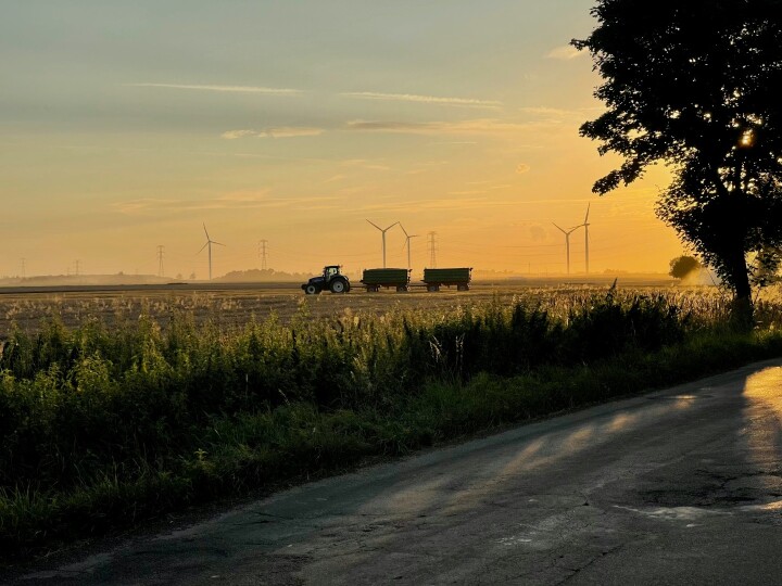 Rzepak: 180 zł różnicy na tonie w jednym dniu. Najwięcej płaci pośrednik, nie tłocznia