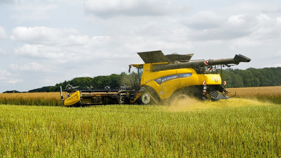 Susza zabrała plon, karę umowną płacił rolnik. Bunge dostało 4,3 mln zł