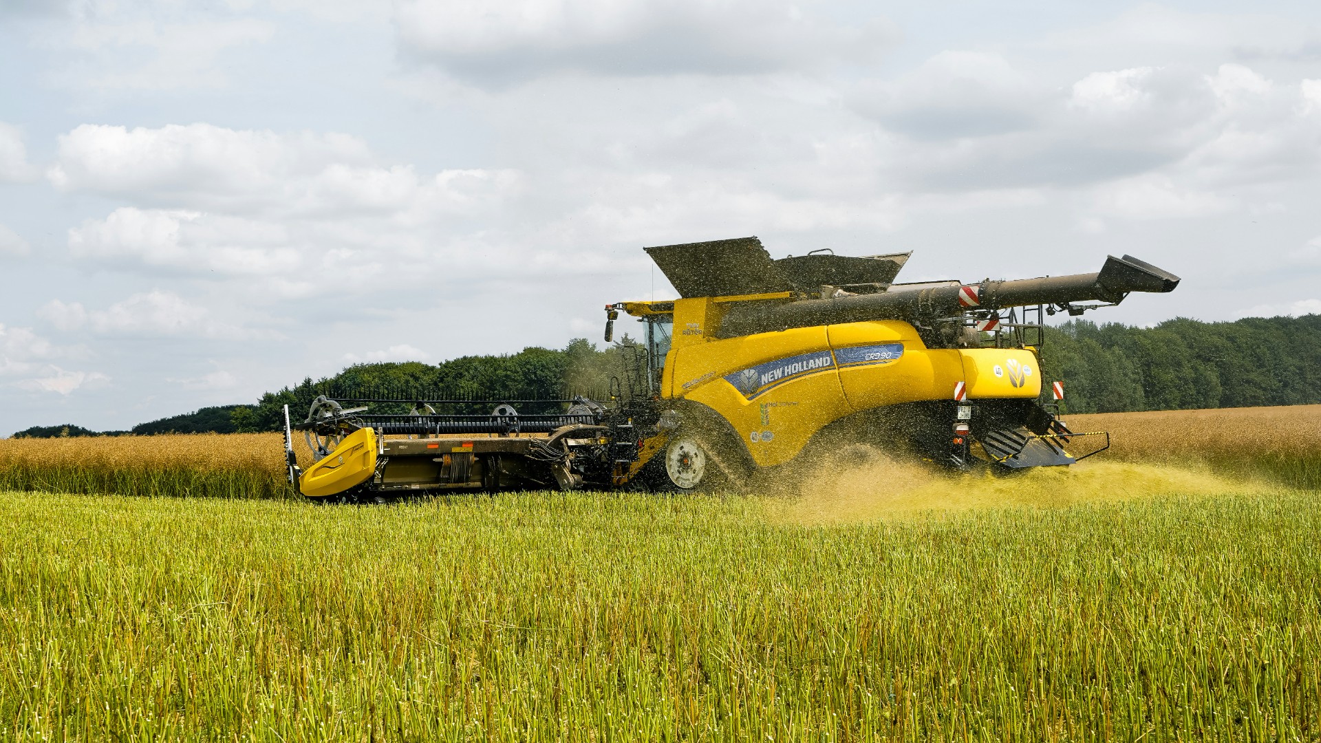 Susza zabrała plon, karę umowną płacił rolnik. Bunge dostało 4,3 mln zł