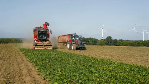 Burak po 26 euro, plantatorzy chcą 40. Z pól zniknęły 23 tys. hektarów