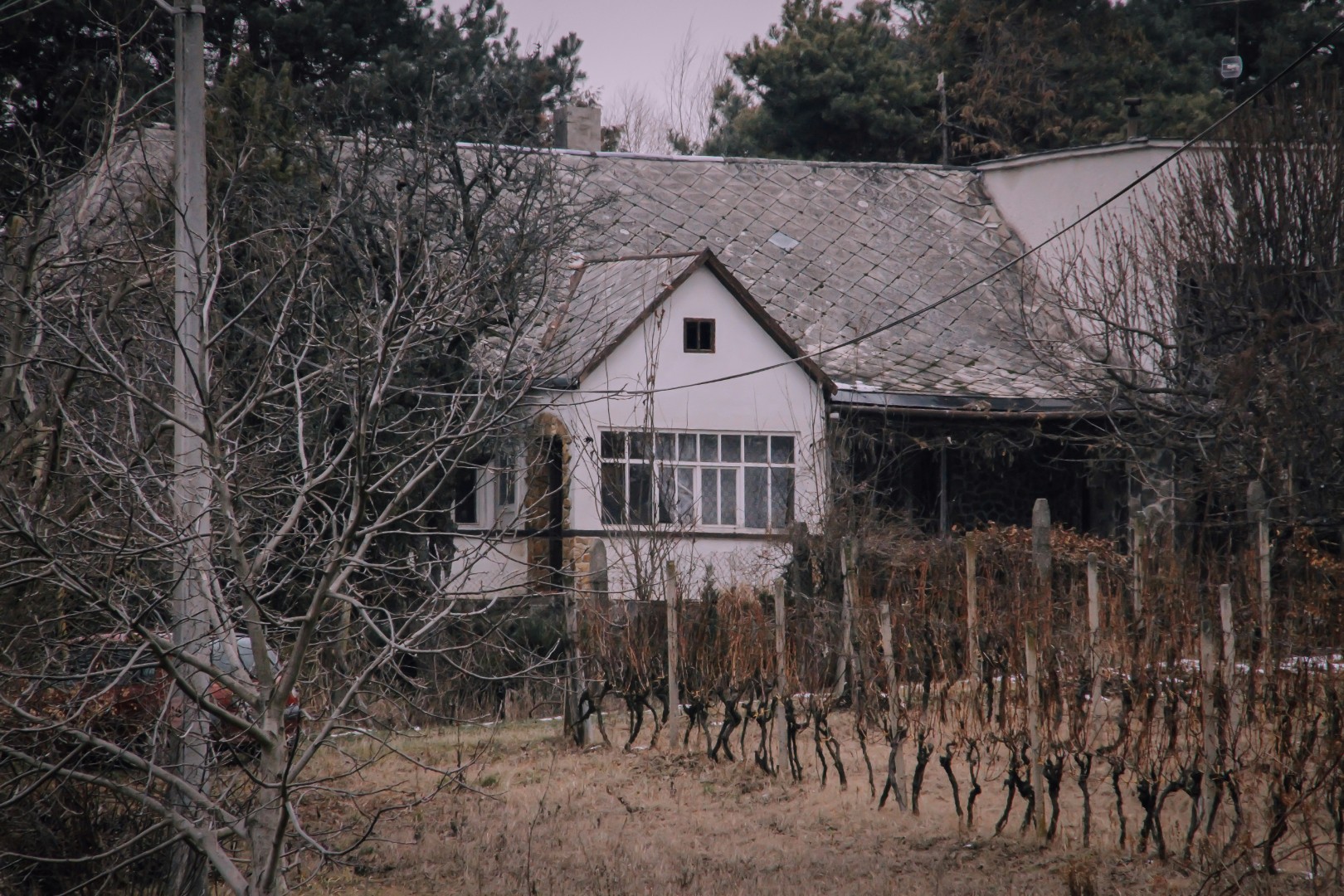 zdjecie-1