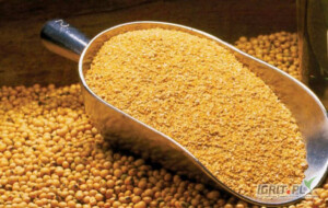 We are looking for partners for export/import of goods to/from

 Ukraine. We are ready to promote your products here in Ukraine. We also offer sunflower oil, meal, sunflower and soybean cake, bran,...