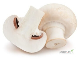 Sprzedam pieczarkę białą. Produkcja całoroczna. Sortowanie i pakowanie wg zamówienia.

Eksport/kraj/przetwórnia 