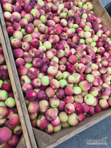 zdjecie-3