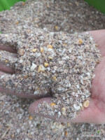 Witam 

Sprzedam mieszanke , pasze dla swin 60 ton  skład ;  sruta grochowa , kakao, otreba pszenna cena 720 zł kontakt       6/0/6/4/2/2/9/7/3     