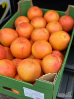 Nawiąże współpracę z odbiorcami produktów II klasy. w asortymencie: pomarańcze, cytryny, mandarynki, grejpfruty, pomelo, truskawki, bataty, pomidory marokańskie, cukinie, papryki

 

 