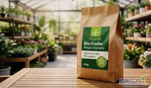 Nowa kategoria na rynku ogrodniczym !!!! :

 

100% Bio, 0% Ryzyka Szanowny Partnerze!

Wśród ogrodników hobby na całym świecie coraz większą popularność zdobywa podejście ekologiczne. Klienci c...