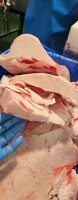 Łoj barani, twardy z rozbioru tusz, w dużych, grubych kawałkach, pakowanie karton  stnadard 14kg. Towar dostępny w magazynie Chłodnia Składowa k.Głown