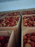 sprzedam idareta za wage w skrzyni jabłko bez czekolady komora świeżo otwarta