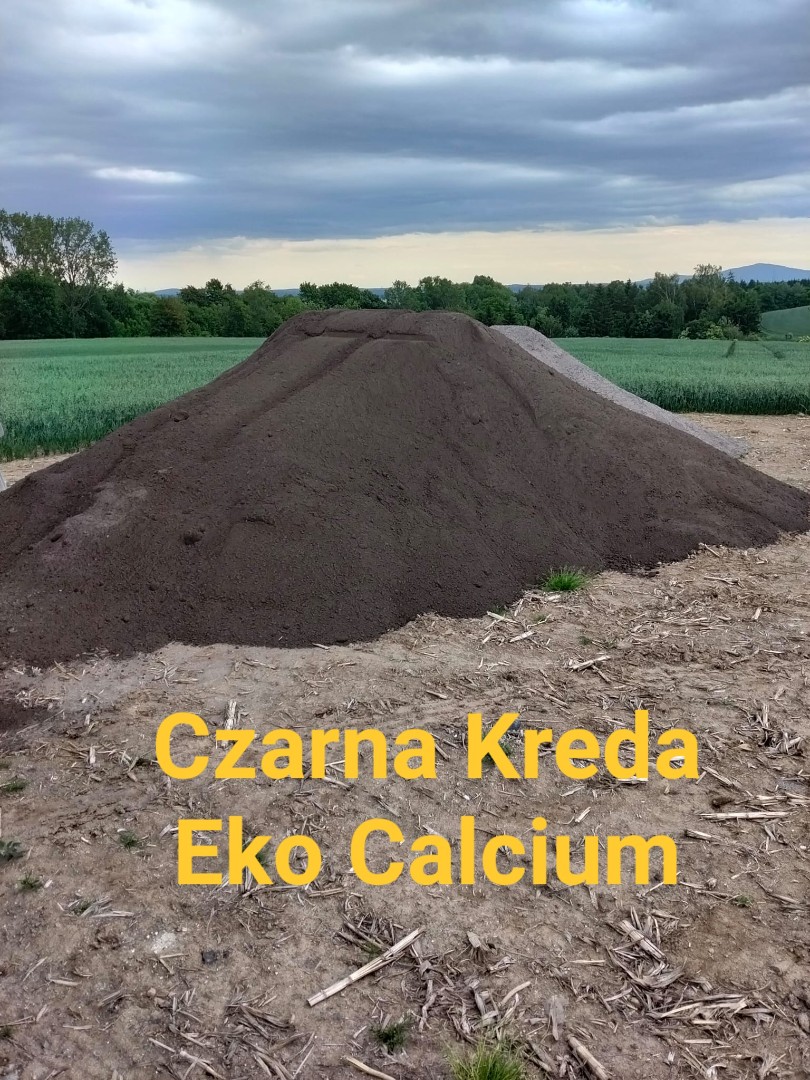 zdjecie-1