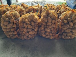 Sprzedam ziemniaki denar, quun anne. Kaliber +45. Posiadam duze ilości