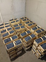 Sprzedam borówkę amerykańską w ilościach hurtowych 12 mam + pakowana w łubianka 3 kg , skrzynka pieczarkowa 4 lub inne do ustalenia. Codziennie świeży