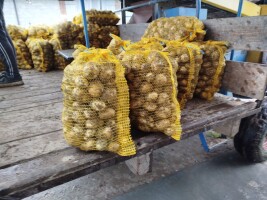 Witam, naszykuje pod zamówienie Riviere, zaschnięta skórka, czysty. Worek 15 kg 10 zł, w skrzyni 60 gr.