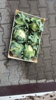 Nawiążę współpracę z odbiorcą kalafiora 6 sztuk skrzynka. Masa 9 kg brutto wraz ze skrzynką