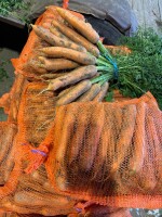 Sprzedam marchew handlowa, szykowana na bierząco pod zamówienie po 10 kg lub możemy przygotować w paletach. Duża ilość  Zapraszam do kontaktu