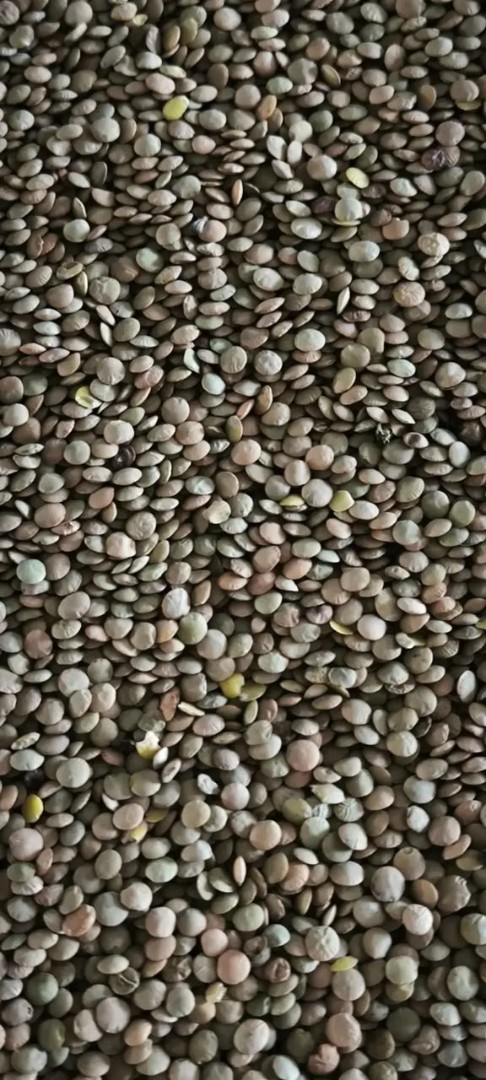 zdjecie-3