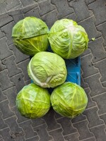 Sprzedam kapustę 2- 5,5kg na przemysł  lub kiszenie