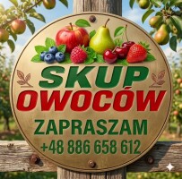 Zakupie borowkę deserowa, export( miekka, z mniejszymi wymaganiami) oraz przemysl( tez gorszej jakosci. Ilisci samochodowe. Caly kraj. Szybka platnosc