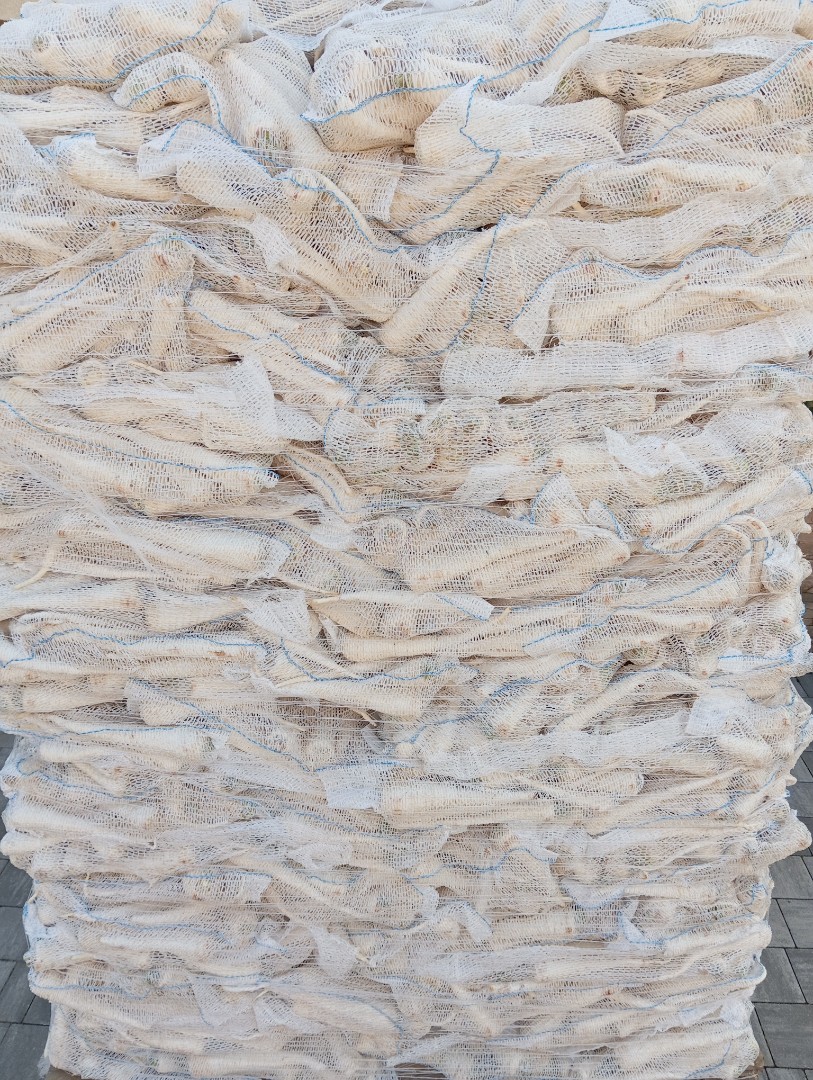 zdjecie-4