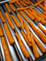 Sprzedam tirowe ilosci marchewki mytej worek 10 kg kaliber 2-4 towar po umyciu schladzamy do 5 stopni lub wedlug zalecen klijenta mamy doswiadczenie z