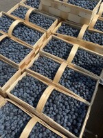 Sprzedam ładną borówkę amerykańską Bluecroop około  2500 kg, towar sztywny i wybarwiony. 90-95% 12+  Borówka jest w nowych Łubiankach pakowana po 3 kg
