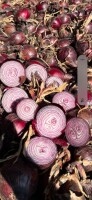 Sprzedam  cebulę  czerwona i żółtą  , import Holandia.  Ilości  tirowe,  dostawa bezpośrednio do klienta