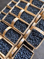 Sprzedam bluecropa. Duże ilości, 3 tony dziennie 789053619