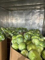 Kupimy kapustę białą w kalibrze przemysłowym min. 5 kg i min 30 cm średnicy. Towar musi być schłodzony przez zapakowaniem w kartom boxy.
Minimum 22 to