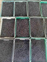 Na sprzedaż: mrożona aronia. Zainteresowanych prosimy o kontakt pod numerem +380680770403.