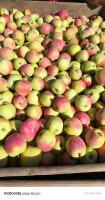 Sprzedam Pirosa 7 plus bez uszkodzeń gradowych