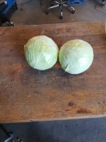 Sprzedam kapustę od 1 do 3,5kg towar handlowy