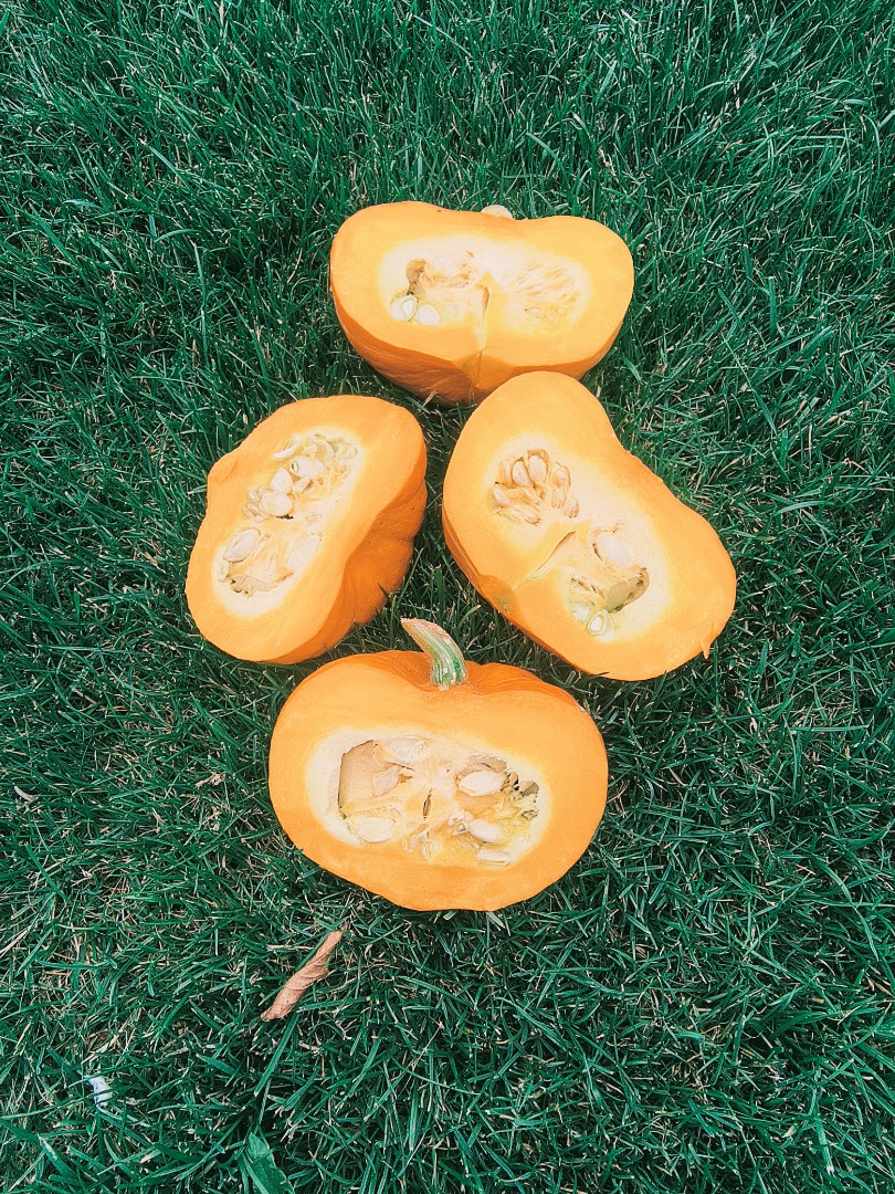 zdjecie-4