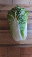 Sprzedam kapustę pekińska ładna zielona czysta w środku bez szkodników i chorób 0.8-2kg ilości paletowe.