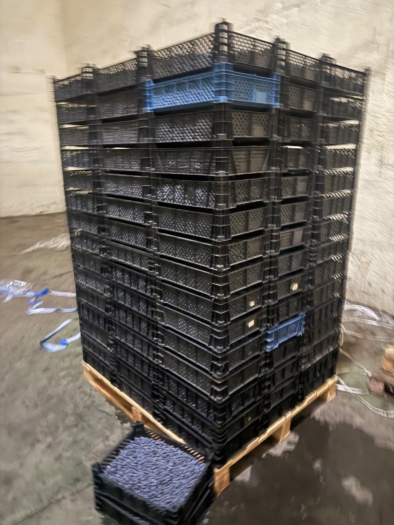 zdjecie-1