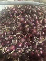 Cebula żółta I czerwona na worek i do obierania, import ,fazor, twarda, czysta, dostawa do klienta cała Polska. Ostatnie auta że starych zbiorów. Www.