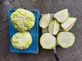 Sprzedam kapuste  białą  na przemysł ,kwaszenie 2,5-7kg duże ilości