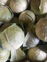 Sprzedam kapustę białą, jakość marketowa 1,5- 3,20kg. Zdrowa. Luz lub kartonbox. Tel. 693098868