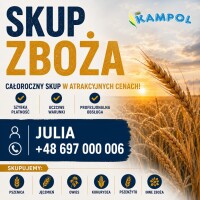 ELEWATOR KAMPOL  RUSIEC – skupuje : Facelię ,Pszenicę, Jęczmień, rzepak,  groch ,seradelę , gorczycę  , soczewicę , grykę.