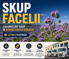 ELEWATOR KAMPOL  RUSIEC – skupuje : Facelię ,Pszenicę, Jęczmień, rzepak,  groch ,seradelę , gorczycę  , soczewicę , grykę.