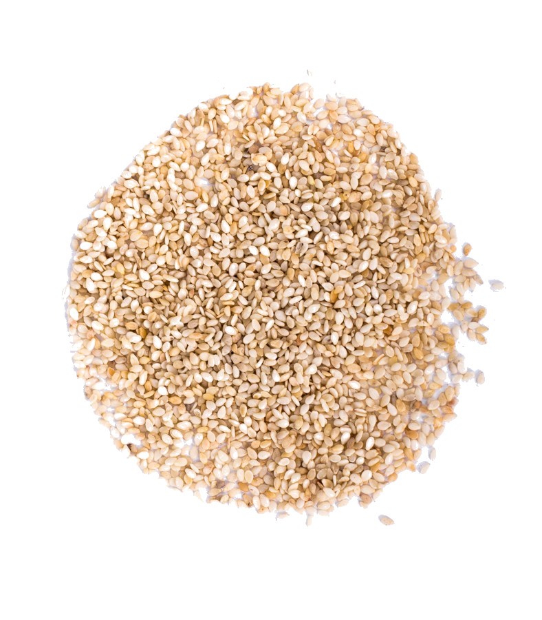 zdjecie-1