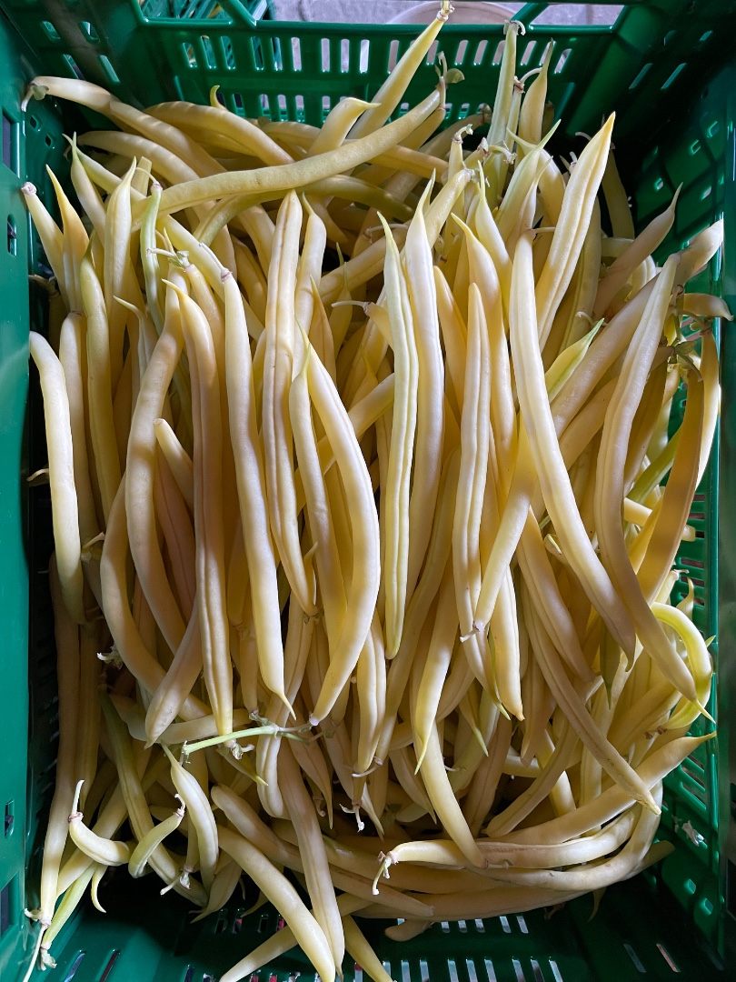zdjecie-1