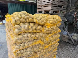 Witam sprzedam ziemniaka jadalnego Ignac-Riwiera-Soraja-Colomba wiele innych odmian zainteresowanych zapraszam ilości tirowe