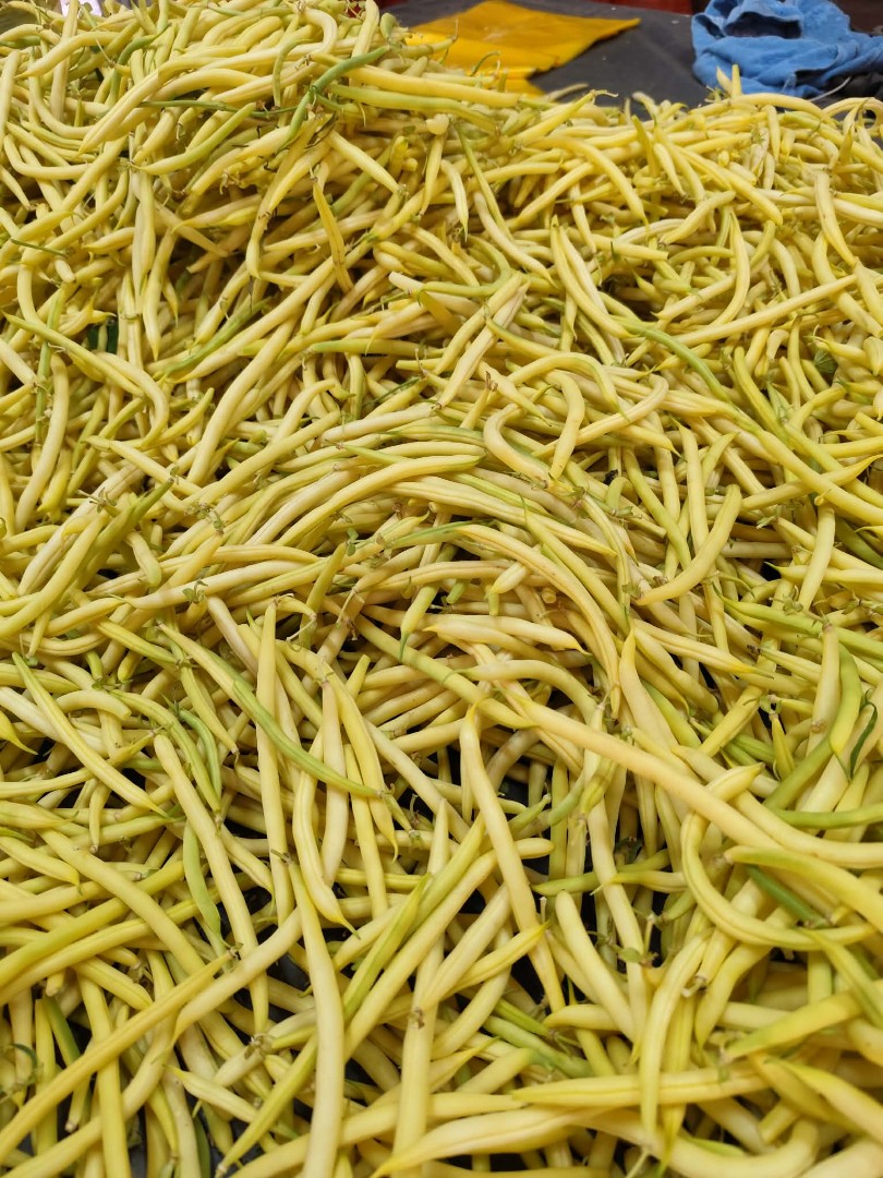 zdjecie-2
