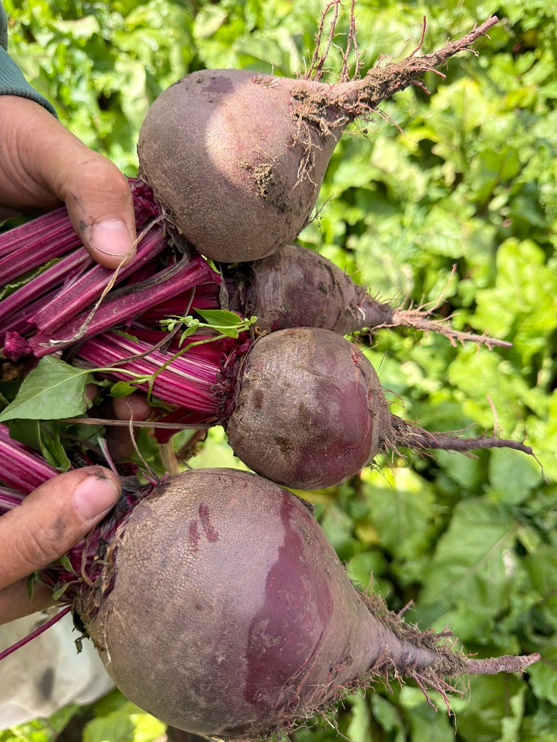 zdjecie-2