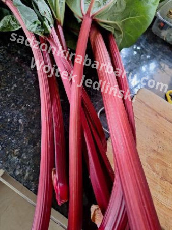 zdjecie-1